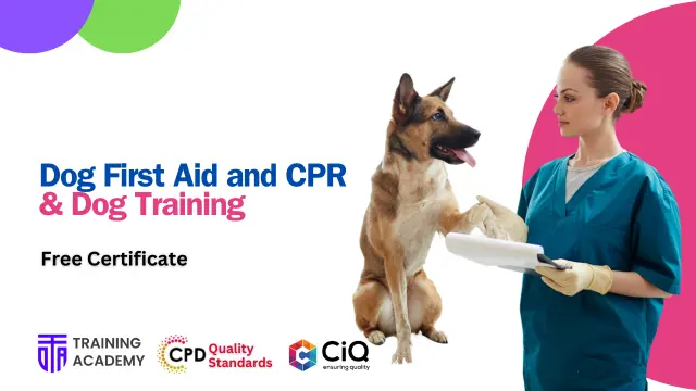 Dog First Aid and CPR with Dog Training