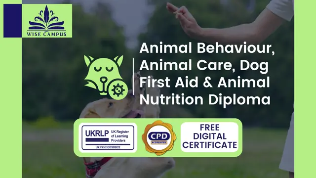 Animal Behaviour, Animal Care, Dog First Aid & Animal Nutrition Diploma