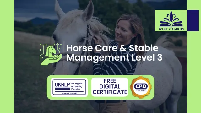 Horse Care & Stable Management Level 3 - CPD Accredited
