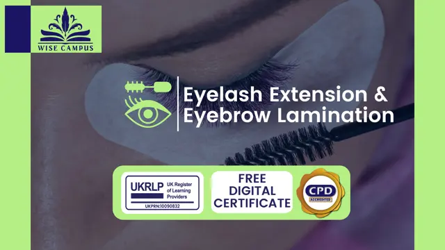 Eyelash Extension & Eyebrow Lamination