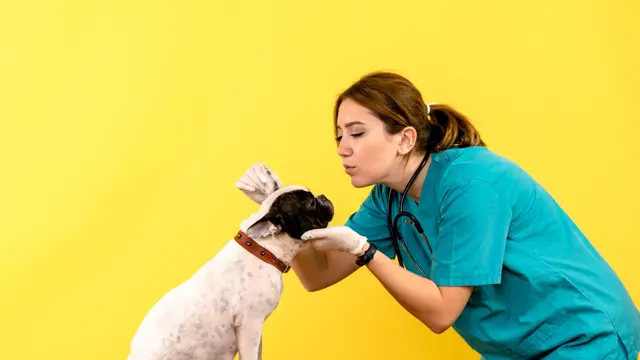 Veterinary Assistant - CPD Certified