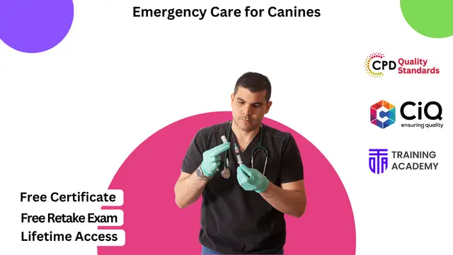 Emergency Care for Canines