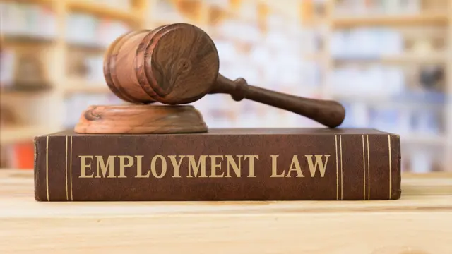 Employment Law (UK Employment Law)