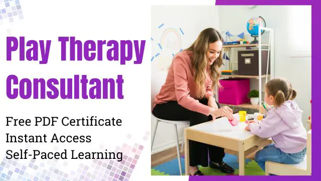 Play Therapy Consultant