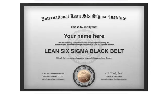 ILSSI Accredited Lean 6 Sigma Black Belt training & Certification