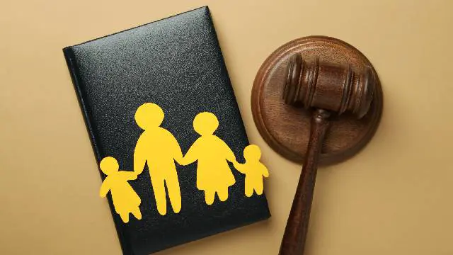 Family Law................