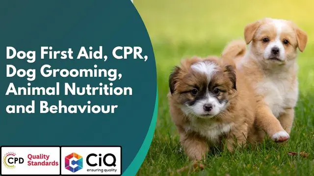 Pet First Aid: Dog First Aid, CPR, Dog Grooming, Animal Nutrition and Behaviour Training