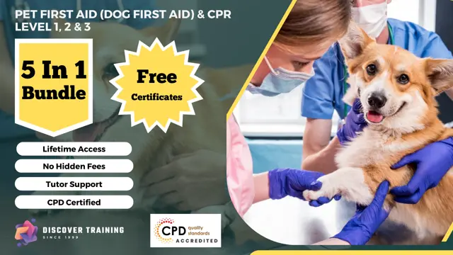 Pet First Aid (Dog First Aid) & CPR Level 1, 2 & 3