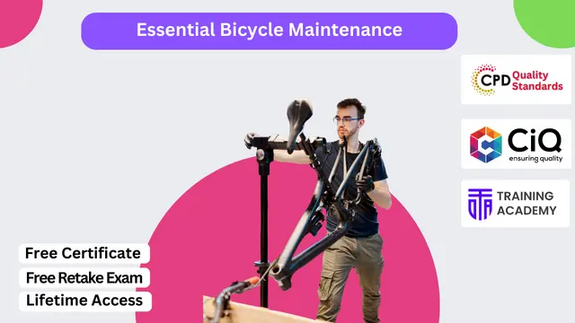 Essential Bicycle Maintenance
