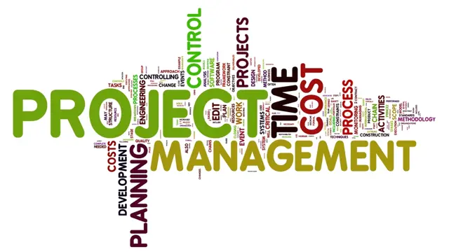 Project Management (Project Manager)