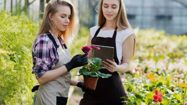 Horticulture and Floriculture Level 3 Advanced Diploma