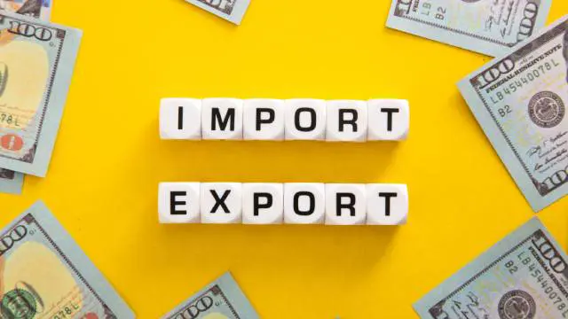 Import Export.........