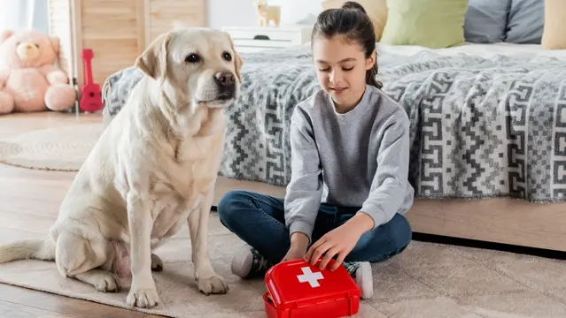 Dog : Dog First Aid and Dog Training
