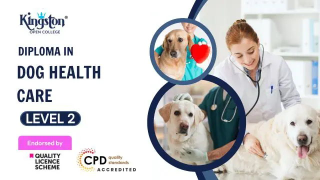 Diploma in Dog Health Care- Level 2 (QLS Endorsed)