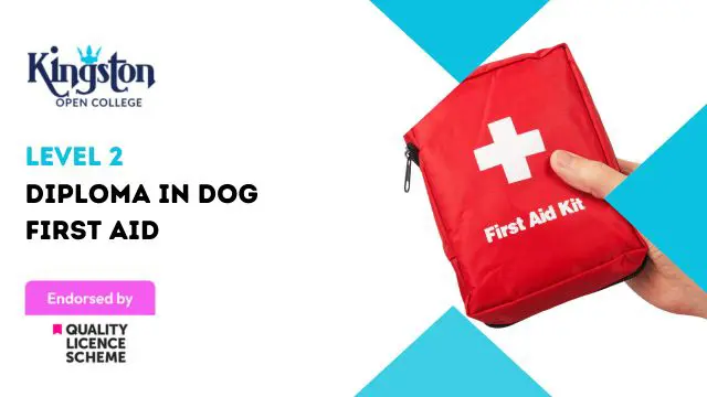 Diploma in Dog First Aid  - Level 2 (QLS Endorsed)