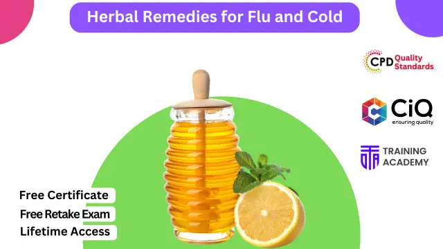 Herbal Remedies for Flu and Cold