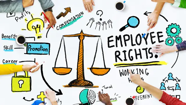 Employment Rights and Laws in the UK