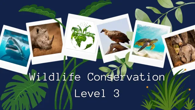 Wildlife Conservation Level 3