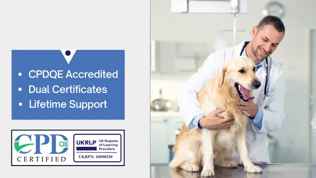 Dog Care & Dog First Aid with Dog Training - CPD Accredited