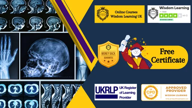 Level 2 Radiography course 
