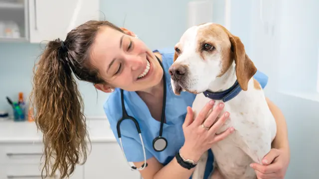 Animal Care with Animal Health Care Diploma