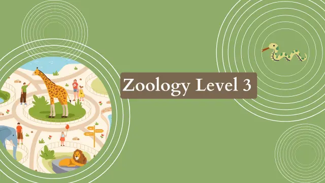 Zoology Level 3 Course