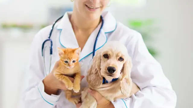 Animal Care: Animal Care Training