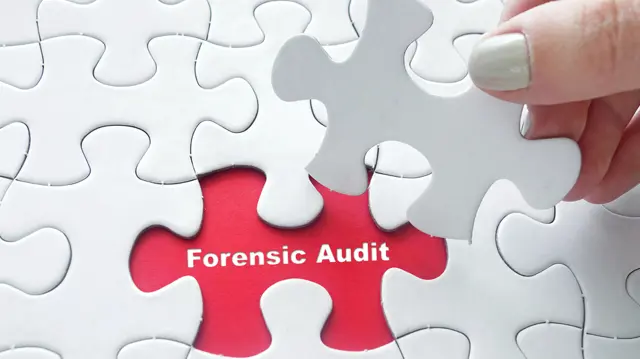 Forensic Accounting Training