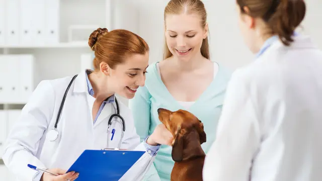 Level 1 Veterinary Assistant Course