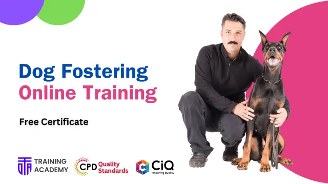 Dog Fostering Online Training