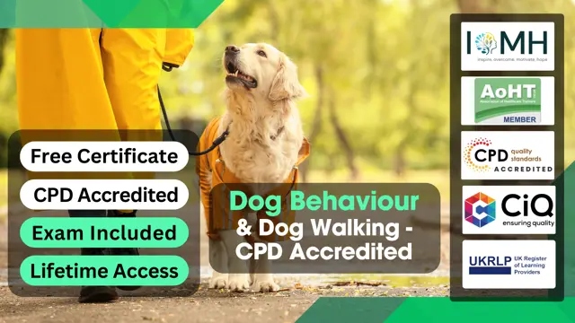Dog Behaviour & Dog Walking - CPD Accredited