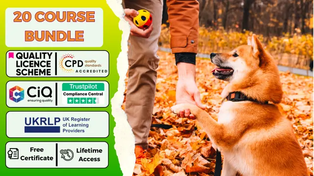 Dog Behaviour, Dog Grooming, Dog Agility, Dog First Aid & Animal Care