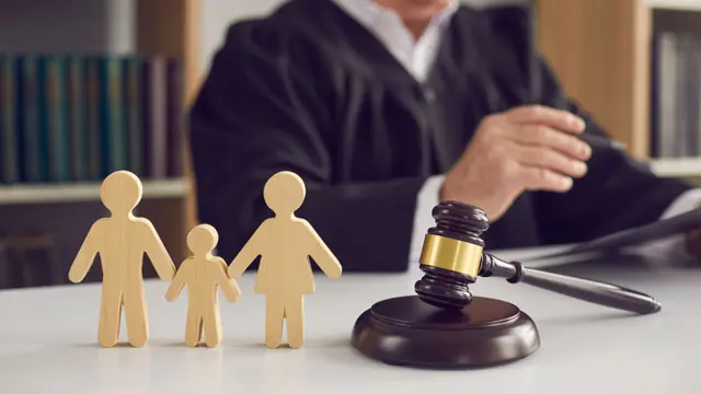 Family Law: Family Law Training