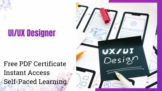 UI/UX Designer Training