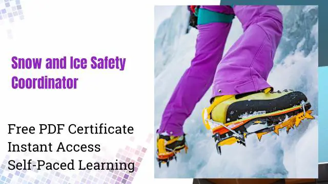 Snow and Ice Safety Coordinator