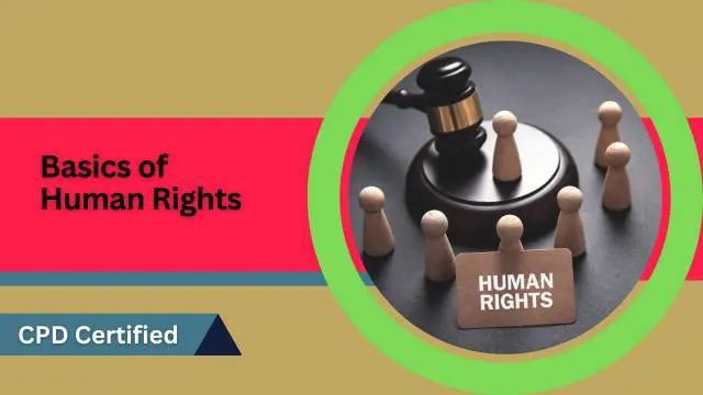Basics of Human Rights - Online Course