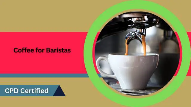 Understandiong the Background of Coffee for Baristas