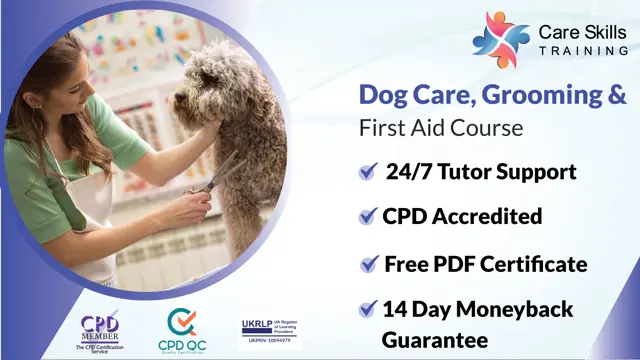 Dog Care, Grooming and First Aid Course