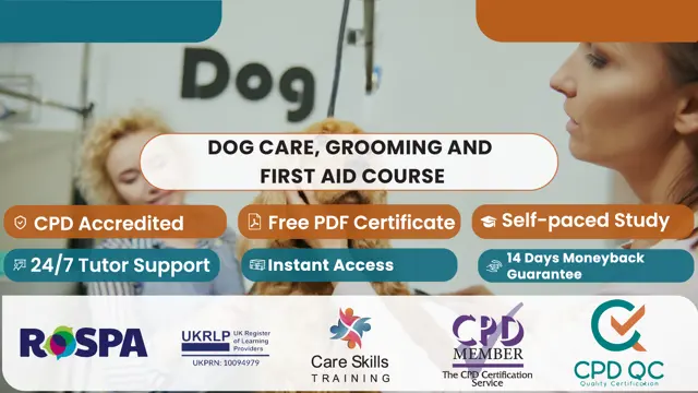 Dog Care, Grooming and First Aid Course