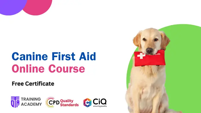 Canine First Aid Online Course