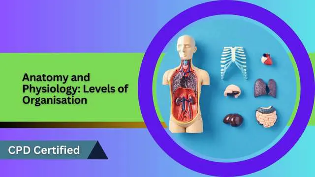 Anatomy and Physiology: Levels of Organisation
