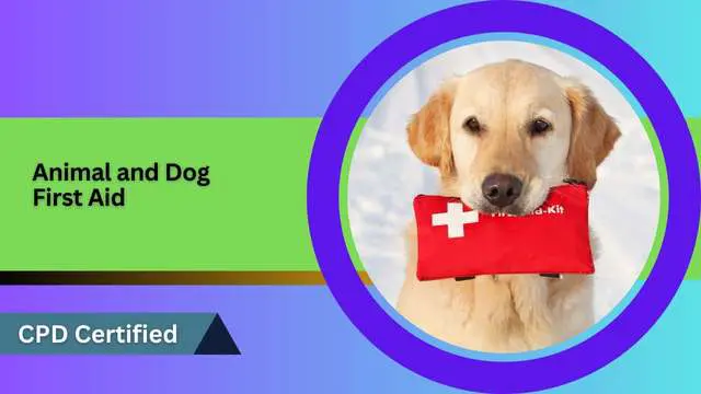 Animal and Dog First Aid