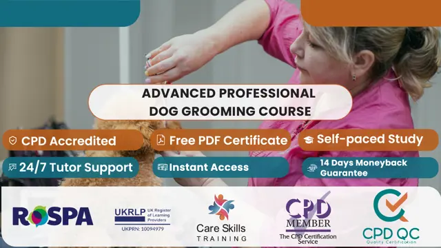 Advanced Professional Dog Grooming Course