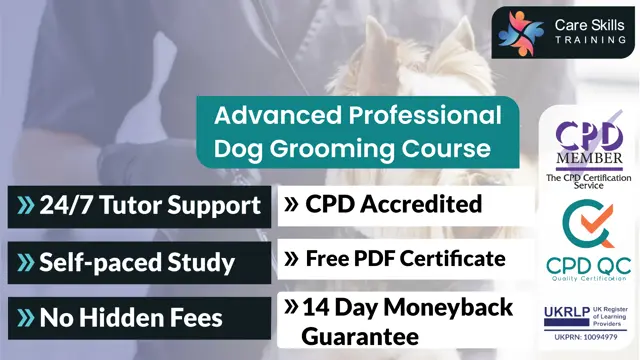 Advanced Professional Dog Grooming Course