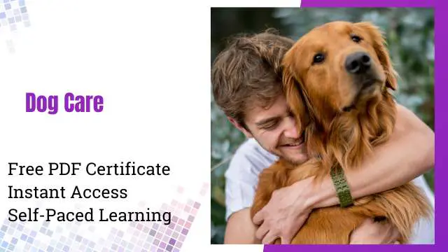 Level 5 Diploma in Dog Care