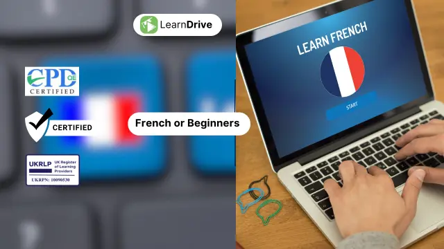 Diploma in French Language From zero to pro