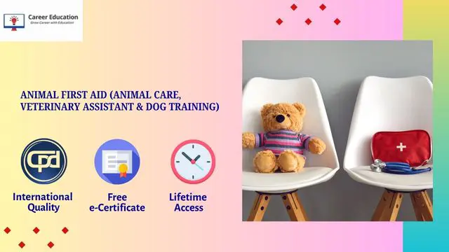 Level 4 Diploma in Animal First Aid (Animal Care, Veterinary Assistant & Dog Training)