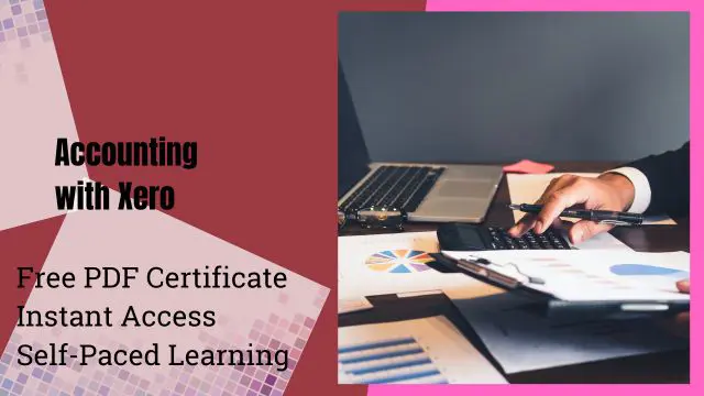 Level 5 Diploma in Accounting with Xero