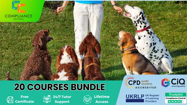 Dog Training with Dog Care and Grooming-20 in 1 Courses Bundle!