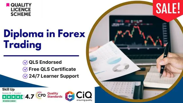 Diploma in Forex Trading at QLS Level 5